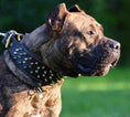 Load image into Gallery viewer, The "Crown" collar Black