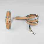 Sky Blue Cross Dog Leash