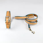 Sky Blue Cross Dog Collar