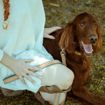 Sky Blue Cross Dog Leash