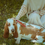 Saffiano Dog Leash Red