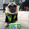 Load image into Gallery viewer, CASH IS KING PLUSH DOG TOY - Southlake Paws