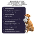 Load image into Gallery viewer, Oncotect Essential At-Home Dog Cancer Screening Test Kit with a golden retriever holding a toy, listing possible cancer signs