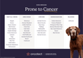 Load image into Gallery viewer, Oncotect Essential At-Home Dog Cancer Screening Test Kit overview, featuring dog breeds prone to various cancers.