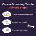 Load image into Gallery viewer, Oncotect Essential At-Home Dog Cancer Screening Test Kit instructions: order test, collect urine, receive report.