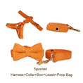 Load image into Gallery viewer, Orange Corduroy Set