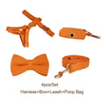 Load image into Gallery viewer, Orange Corduroy Set