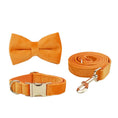 Load image into Gallery viewer, Orange Velvet Set
