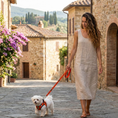 Load image into Gallery viewer, EcoBark Safety Orange Dog Leash- Padded Comfort Grip Leash with Dog Pattern - 4ft, 5ft, and 6ft Leash for Small and Medium Dogs