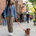 Load image into Gallery viewer, EcoBark Step In Dog Harness - XXXS to Small Breeds- Reflective Soft Mesh Harness for Teacup, Small Dogs and Puppies / Orange