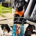 Load image into Gallery viewer, Orange Velvet Set