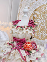 High quality Rosé Blossom Couture Dog Dress & Hat Set