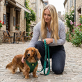 Load image into Gallery viewer, EcoBark Forest Green Dog Harness - Over-the-Head Vest Halter Soft Mesh for Small to Medium Dogs