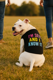 Parisian Pet 'Sexy and I Know It' Dog & Cat Shirt – Humorous Embroidered Novelty Pet Apparel, Comfortable & Stylish – Black