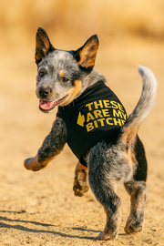 Parisian Pet 'These Are My Bitches' Funny Dog Shirt – Comfortable Black T-Shirt for Small Dogs & Cats, Trendy Slogan Apparel