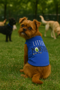 Load image into Gallery viewer, Parisian Pet 'Little Monster' Embroidered Dog & Cat Shirt - Funny Pet Apparel, Blue