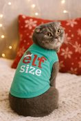 Load image into Gallery viewer, Parisian Pet Embroidered 'Elf Size Shirt' - Holiday Pet Apparel & Christmas Dog Clothes, Green