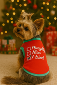 Load image into Gallery viewer, Parisian Pet 'Naughty or Nice' Dog Christmas T-Shirt - Festive Pet Holiday Shirt for Dogs & Cats, Red
