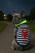 Load image into Gallery viewer, Parisian Pet 'Lobster Chasing Tail' Dog Shirt – Nautical Cotton Pet T-Shirt for Dogs & Cats, Blue & White Stripes