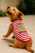 Load image into Gallery viewer, Parisian Pet 'Turtley Awesome' Dog Shirt – Fun Slogan Cotton Pet T-Shirt for Dogs & Cats, Red and White Stripes