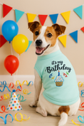 Load image into Gallery viewer, Parisian Pet 'Birthday Boy' Fun Slogan Dog T-Shirt –Premium Embroidered Celebratory Clothing for Dogs & Cats, Blue