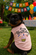 Load image into Gallery viewer, Parisian Pet 'Birthday Girl' Dog Shirt – Trendy and Breathable Party Outfit for Small Dogs & Cats, Pink