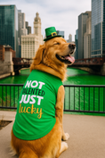 Load image into Gallery viewer, Parisian Pet 'Not Talented Just Lucky' Witty Dog Shirt – Trendy Slogan Pet Apparel for Dogs & Cats-Saint Patrick's Day