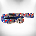 Load image into Gallery viewer, Colorado and Texas Dog Collars, Leads, and Bows - 5 Styles