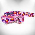 Load image into Gallery viewer, Colorado and Texas Dog Collars, Leads, and Bows - 5 Styles