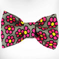 Load image into Gallery viewer, Flower Dog Collars, Leads, and Bows - 6 Styles