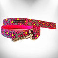 Load image into Gallery viewer, Flower Dog Collars, Leads, and Bows - 6 Styles