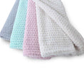 Load image into Gallery viewer, Hello Doggie Paris Dog Blanket