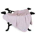 Load image into Gallery viewer, Hello Doggie Paris Dog blanket