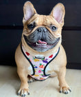 Load image into Gallery viewer, Frootie Patootie Reversible Harness - Southlake Paws
