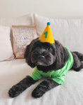 Load image into Gallery viewer, PAWTY HAT - Green number