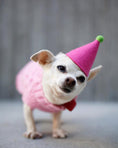 Load image into Gallery viewer, PAWTY HAT