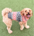 Load image into Gallery viewer, Peach Fairisle Dog Sweater
