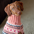 Load image into Gallery viewer, Peach Fairisle Dog Sweater