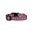 Load image into Gallery viewer, Pendleton Adventure Collar - Dog Collar