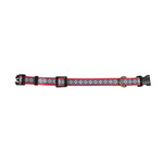Pendleton Adventure Collar