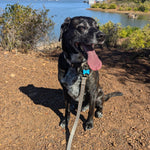 Pendleton Adventure Leash