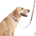 Load image into Gallery viewer, Pendleton Adventure Leash - Dog Leash