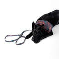 Load image into Gallery viewer, Pendleton Adventure Leash - Dog Leash