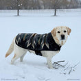 Load image into Gallery viewer, Pendleton Berber Dog Coat