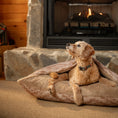 Load image into Gallery viewer, Pendleton Burrow Bed