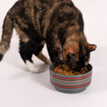 Load image into Gallery viewer, Pendleton Ceramic Food & Water Pet Bowl