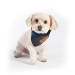 Pendleton Crescent Lake Plaid Bandana for Dogs