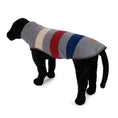 Load image into Gallery viewer, Pendleton Dog Vest