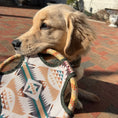 Load image into Gallery viewer, Pendleton Flying Disc Rope Dog Toy - Default Title