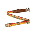 Load image into Gallery viewer, Pendleton Heritage Collar - Dog Collar